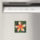 Frangipani Blume Magnet (In Situ (Geschirrspüler))