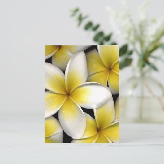 Frangipani-Blume mit Blätter in Weiß und Gelb Postkarte (Stehend Vorderseite)