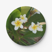 Frangipani-Blume Pappteller (Vorderseite)