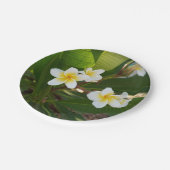 Frangipani-Blume Pappteller (Schrägansicht)