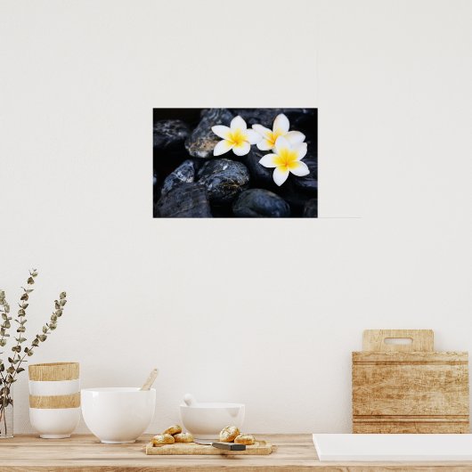 Frangipani-Blume Poster (Küche)