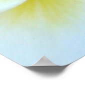 Frangipani Blume Poster (Ecke)