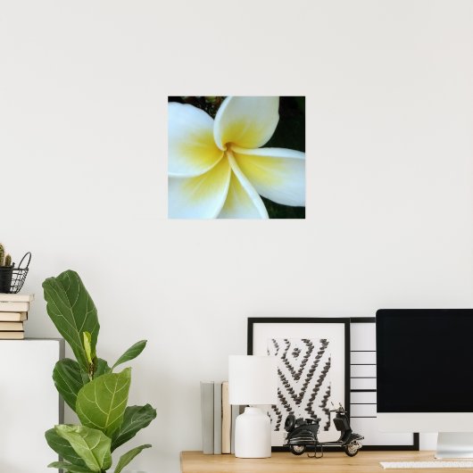 Frangipani Blume Poster (Heimbüro)