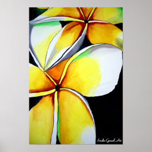 Frangipani Blume Poster von Sacha Grossel Art