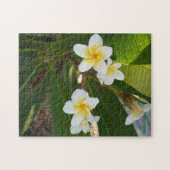 Frangipani-Blume Puzzle (Horizontal)