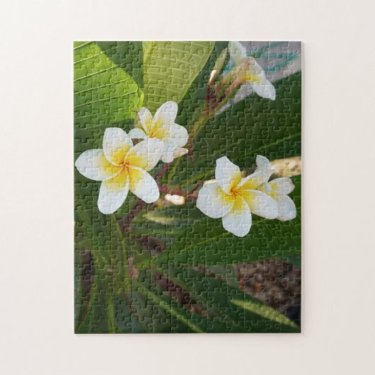 Frangipani-Blume Puzzle (Vertikal)