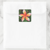 Frangipani Blume Quadratischer Aufkleber (Tasche)