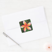 Frangipani Blume Quadratischer Aufkleber (Umschlag)