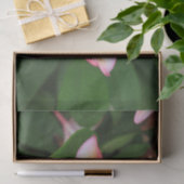 Frangipani Blume Seidenpapier (Geschenk)