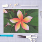 Frangipani Blume Seidenpapier (Handwerk)