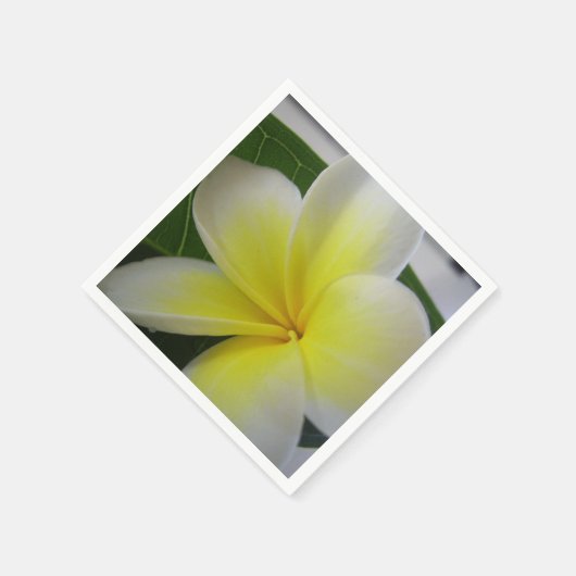 Frangipani-Blume Serviette (Ecke)