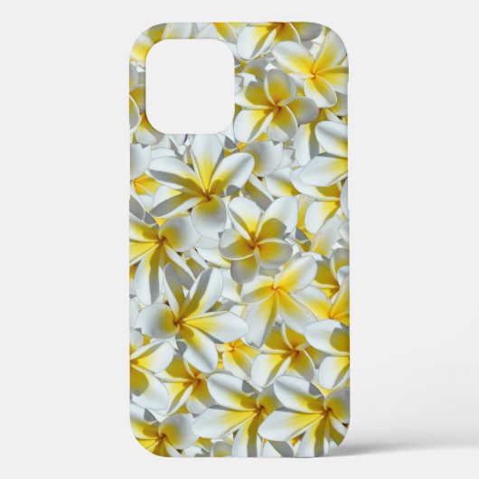 Frangipani-Blume, weiß und gelb, Case-Mate iPhone Hülle (Rückseite)