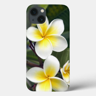 Frangipani-Blüte Cookinseln Case-Mate iPhone Hülle
