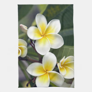Frangipani-Blüte Cookinseln Handtuch