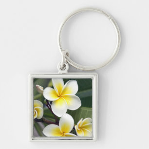 Frangipani-Blüte Cookinseln Schlüsselanhänger