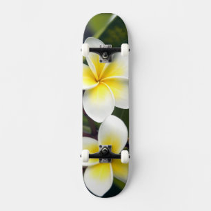 Frangipani-Blüte Cookinseln Skateboard