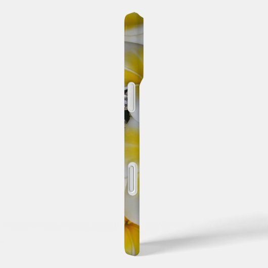 Frangipani-Bouquet Case-Mate iPhone Hülle (Rückseite / Rechts)