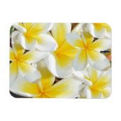 Frangipani Bouquet, Flexible Magnet (Horizontal)