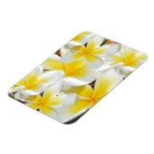 Frangipani Bouquet, Flexible Magnet (Linke Seite)