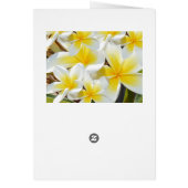 Frangipani_Bouquet, Geburtstagskarte (Hinten)
