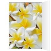 Frangipani_Bouquet, Geburtstagskarte (Innen (Links))