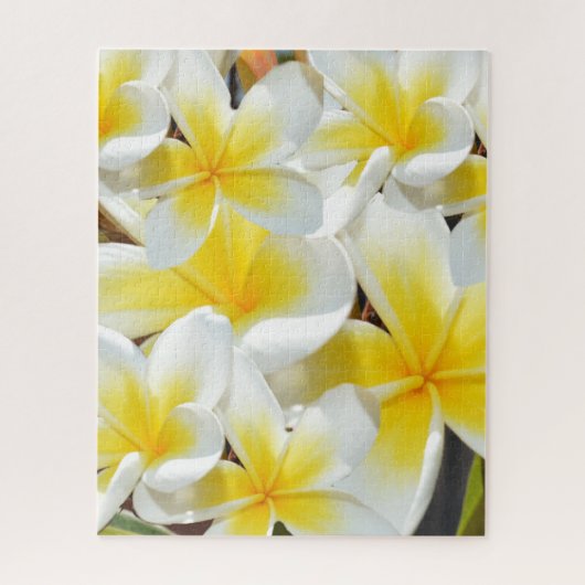 Frangipani Bouquet, Jigsaw Puzzle (Vertikal)