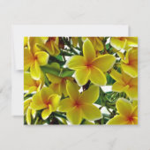 Frangipani Brautparty Einladung (Rückseite)