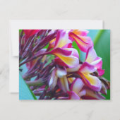 Frangipani Brautparty Einladung (Rückseite)