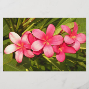 Frangipani Briefpapier