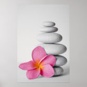 Frangipani Calm Poster (Vorne)