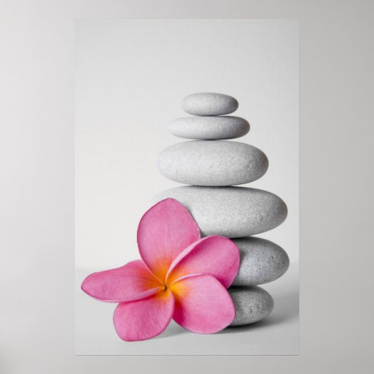 Frangipani Calm Poster (Vorne)