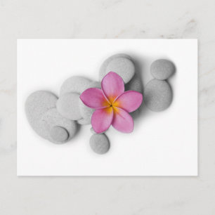 Frangipani Calm Postkarte