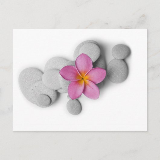 Frangipani Calm Postkarte (Vorderseite)