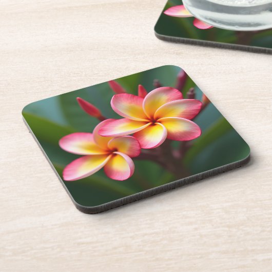 Frangipani Dwarf Tri Color Delight Getränkeuntersetzer (Linke Seite)