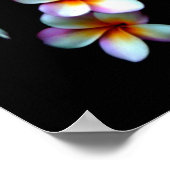 Frangipani-Foto Poster (Ecke)
