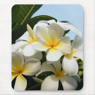 Frangipani-Glück Mousepad