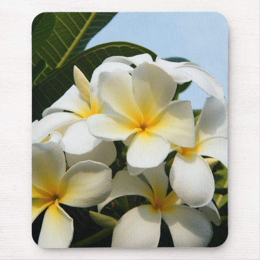 Frangipani-Glück Mousepad (Vorne)