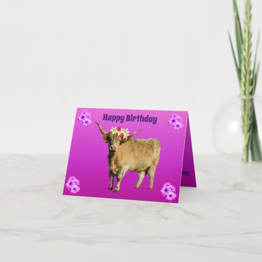Frangipani, Highland Cow, Karte (Vorderseite)
