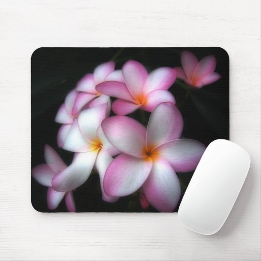 Frangipani in der Blüte Mousepad (Mit Mouse)