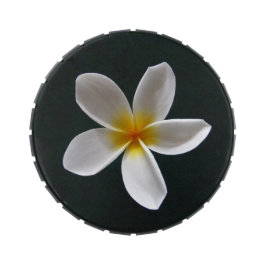 Frangipani Jelly Belly Tin Jelly Belly Dosen