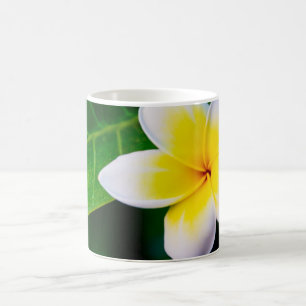Frangipani Kaffeetasse
