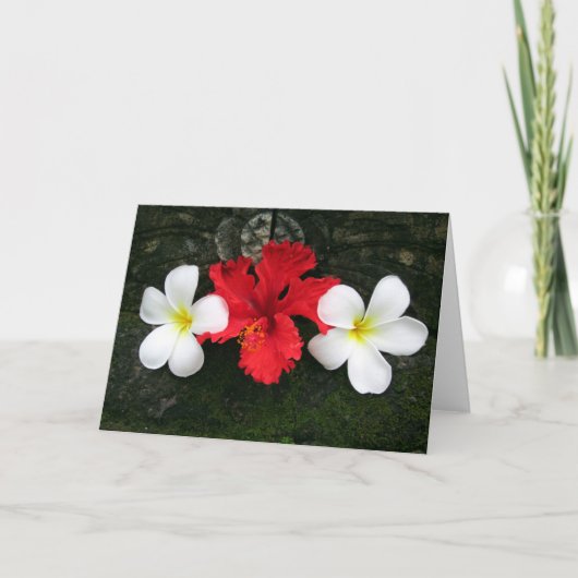 Frangipani Karte (Vorderseite)