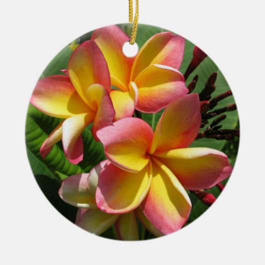 Frangipani Keramik Decoration Keramik Ornament (Vorne)