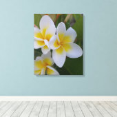 Frangipani Leinwand (Insitu (Holzboden))