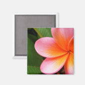Frangipani Magnet (Vorderseite/Rückseite)