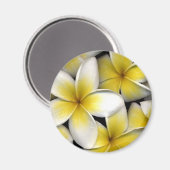 Frangipani Magnet (Vorderseite/Rückseite)