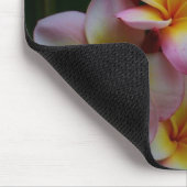 Frangipani Mousepad (Ecke)