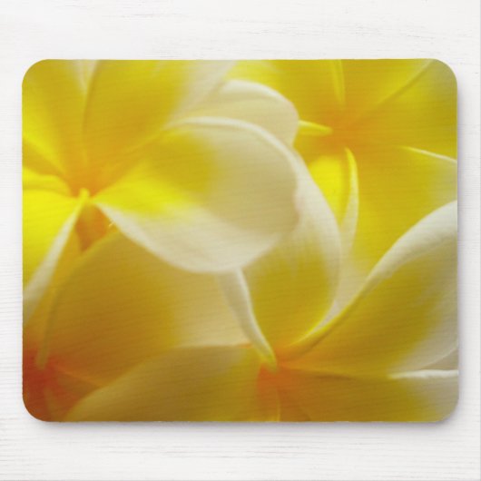 Frangipani Mousepad (Vorne)