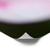 Frangipani nah poster (Ecke)