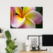 Frangipani nah poster (Heimbüro)